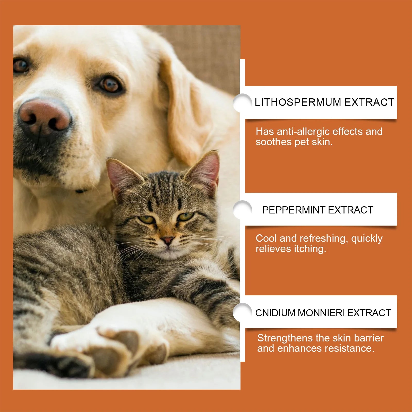 Yegbong Pet Skin Care Cream – Itch Relief & Ringworm Treatment for Dogs & Cats